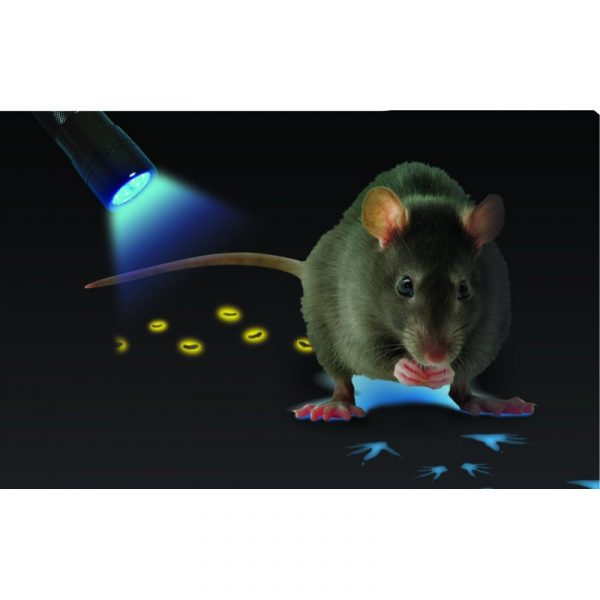 Pâte fluo rat et souris Arsenal – Image 3