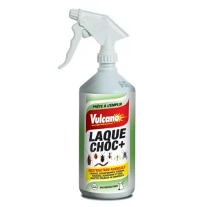 Laque choc + 1L