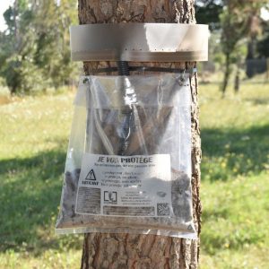 Ecopiège pour chenilles processionnaires
