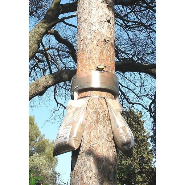 Ecopiège pour chenilles processionnaires – Image 3