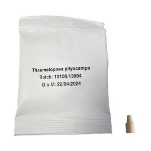 Phéromone pour papillon de la processionnaire du pin
