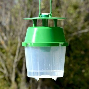 Unitrap piège à papillons de chenilles processionnaires